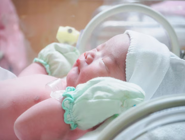 Normal Vaginal Delivery