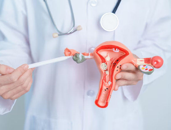 Pregnancy with Uterine Fibroids